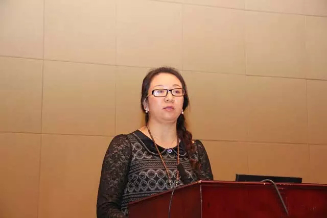 中國(guó)電梯協會信息網2015年年會在重(chóng)慶召開